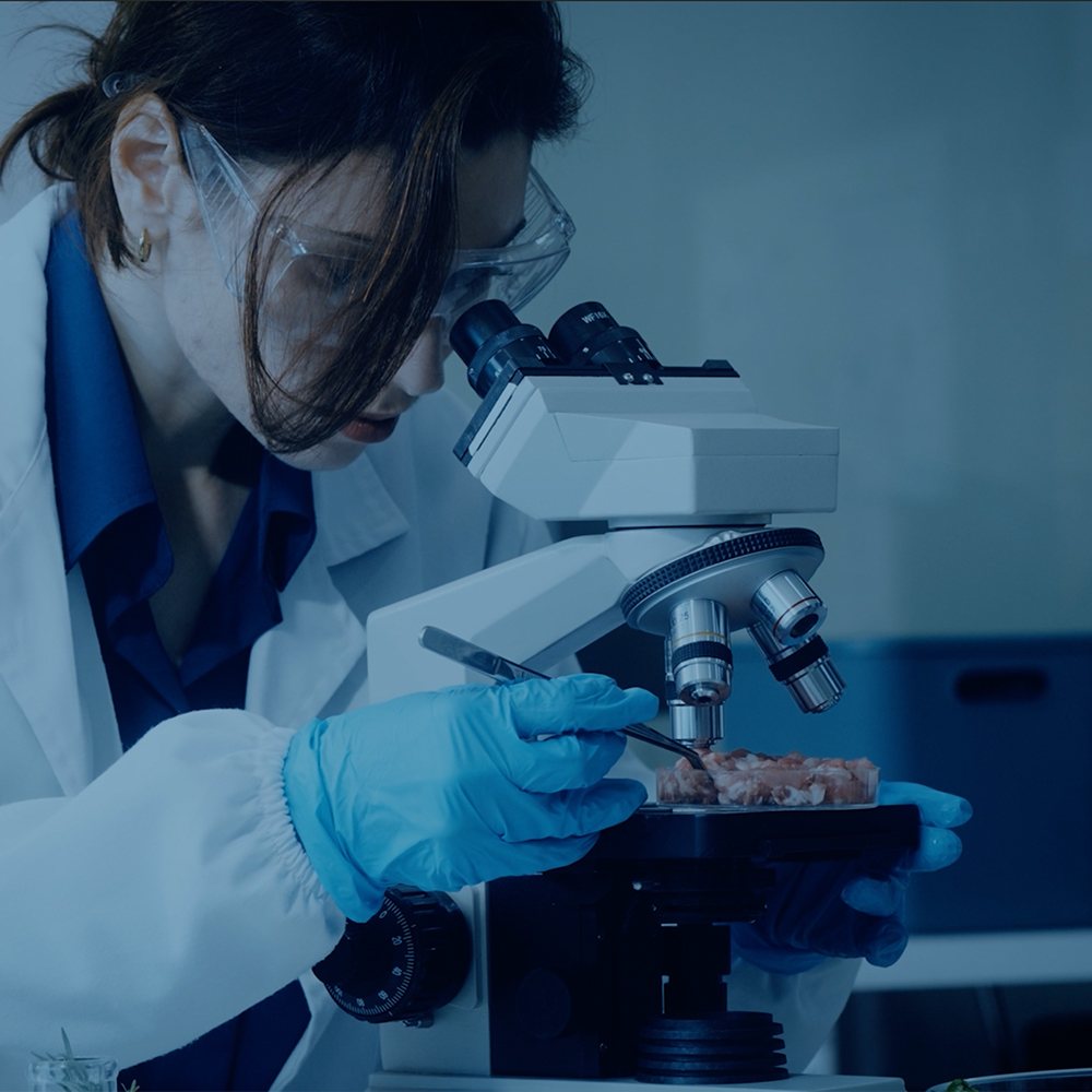 Ana-Sayfa-Hakkimizda-1000×1000-px